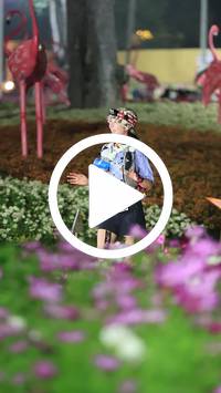 BIB:  <button type="button" onclick="openModal(27590956)" class="btn btn-primary btn-sm float-right" data-toggle="modal" data-target=".modal-high-quality">
                <i class="fa fa-download"></i> Download
                </button>